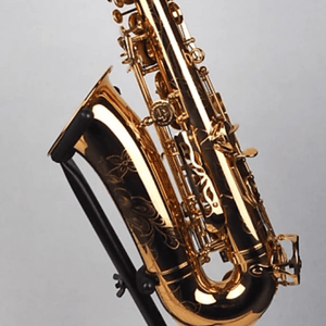 John Packer Intermediate Alto Saxophone JP245