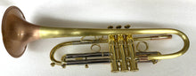 Taylor Piranha Trumpet Bauerfeind Valves Satin Finish