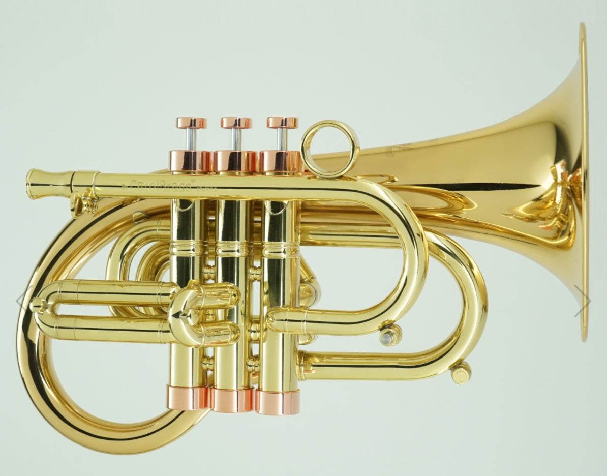 CarolBrass Pocket Flugelhorn Taylor Phat Puppy-L - O'Malley