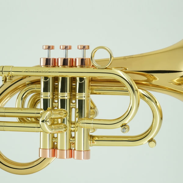 CarolBrass Pocket Flugelhorn Taylor Phat Puppy-L | O’Malley Musical Instruments