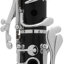 Selmer Paris Presence Clarinet SeleS