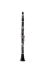 Eastman Clarinet (ECL230)