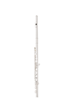 Eastman Flute (EFL210)