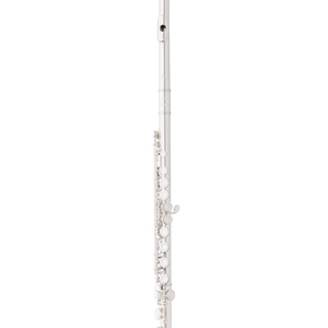 Eastman Flute (EFL210)