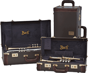 Bach Strad Bb Trumpet 190S37
