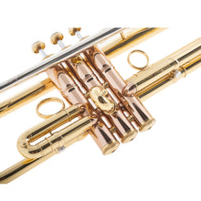 Andrea Giuffredi Signature Trumpet (Giuffredi Model-L)