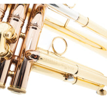 Andrea Giuffredi Signature Trumpet Giuffredi Model-L