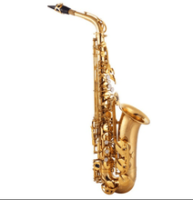 John Packer Intermediate Alto Saxophone JP245