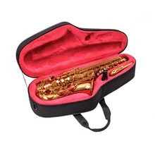 John Packer Intermediate Alto Saxophone JP245